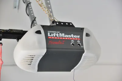 DSC_7332 (Large).JPG